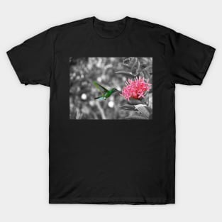 Hummingbird on a pink flower T-Shirt